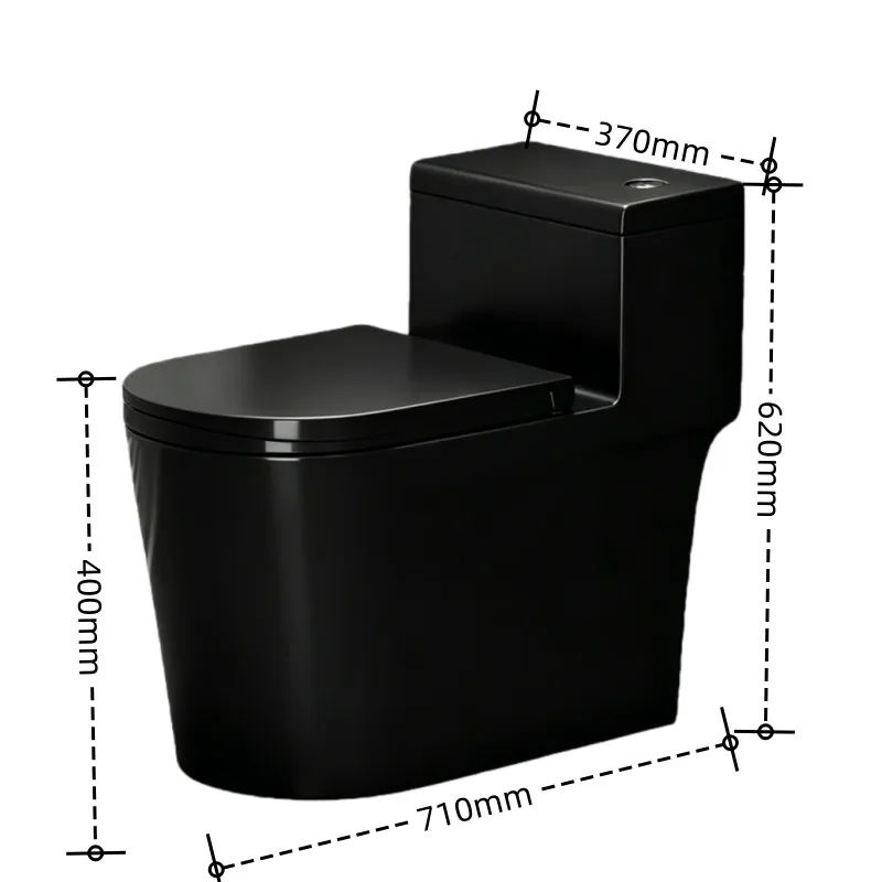 مرحاض سيفون أسود من تشاوتشو بق - مراجعة Home Bathroom Ware وسعره