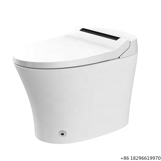 غطاء مقعد مرحاض ذكي سهل التركي - مراجعة Home Bathroom Ware وسعره