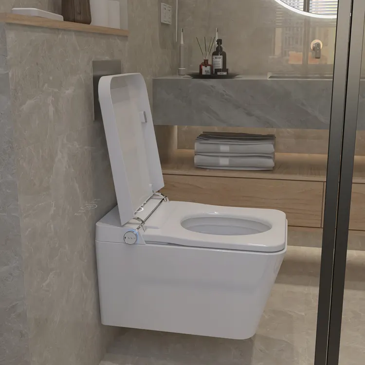 مرحاض ذكي معلق على الحائط مع ت - مراجعة Home Bathroom Ware وسعره